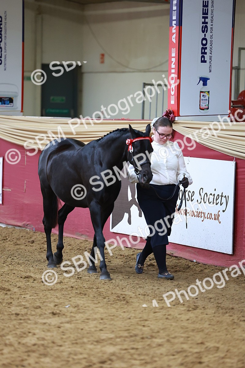 SBM_18576 - Class 903 - Sup Final - IH Pre Vet