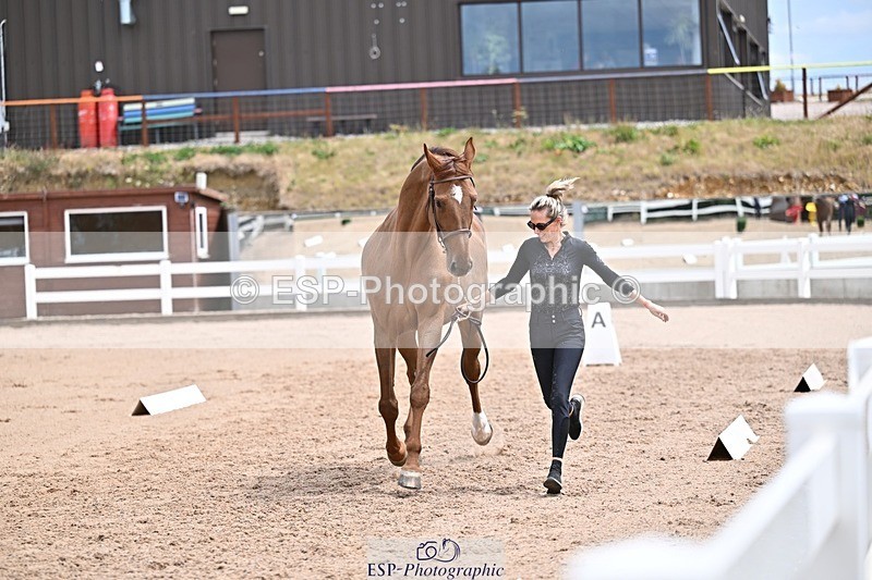 250716-132458-00495 - Trot Up 12.30 to 1.30