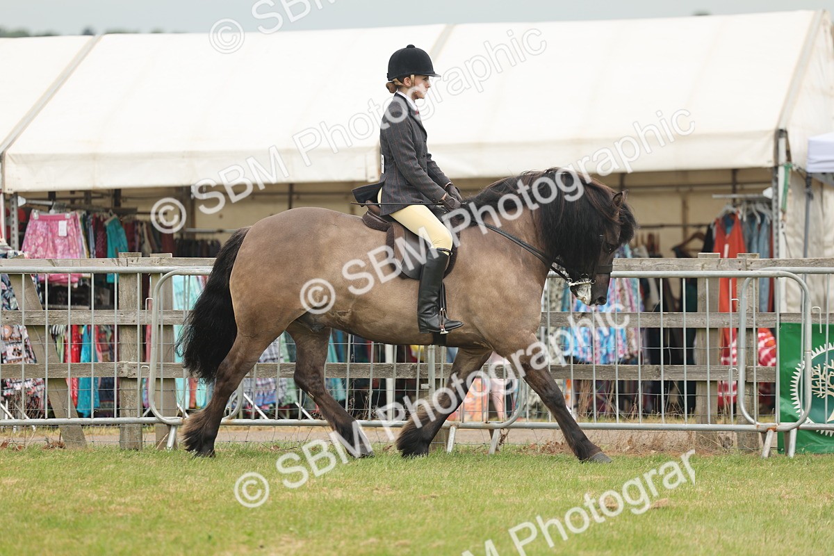 SBM_08937 - Class 78-80 - Ridden M&M Non Welsh Ponies