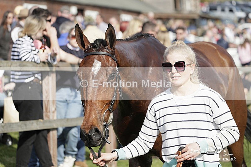 PtP 080423 677 - Dingley Races The Woodland Pytchley Hunt PtP 08/04/23
