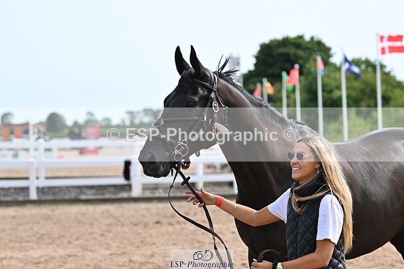 240717A-161639-03407 - Trot Up 4pm to 5pm