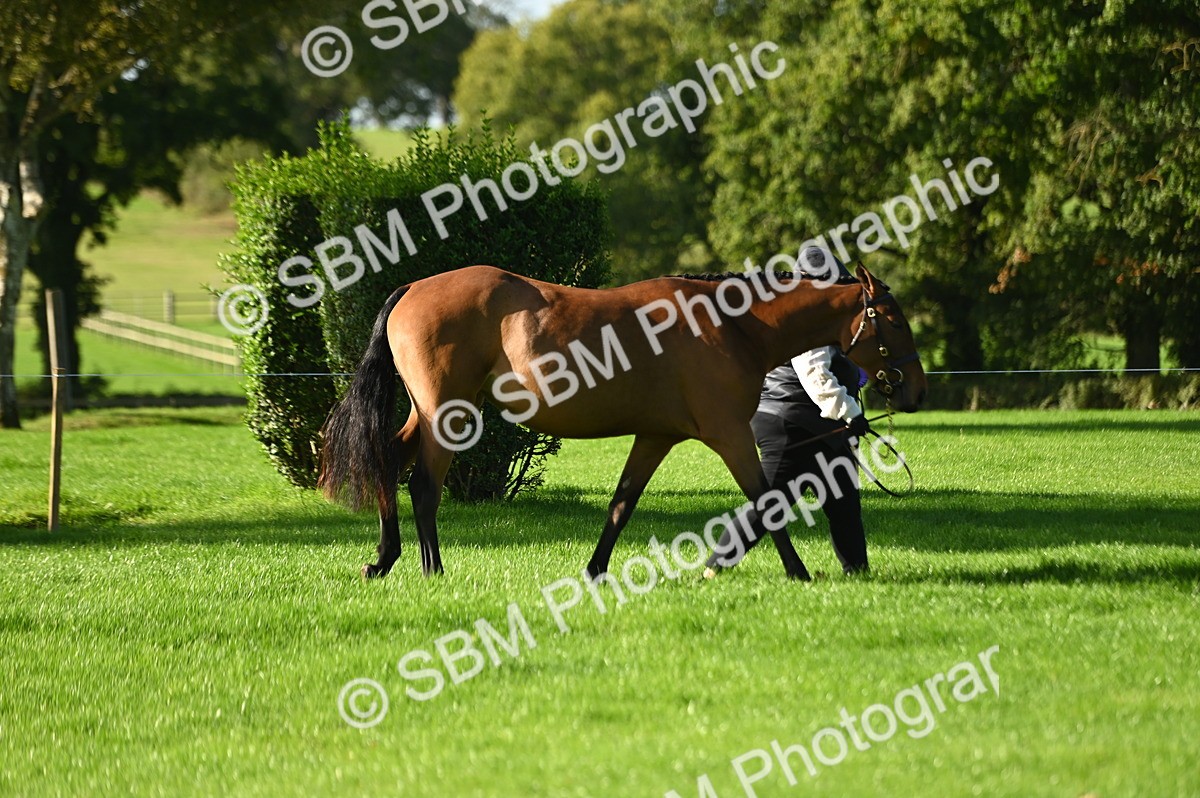 SBM_15819 - S1 - TSR in Hand Horse & Pony Showing