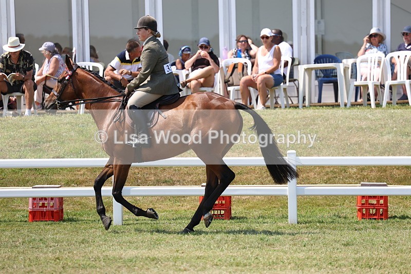 3E7A9389 - Class 12: Open Racehorse to Show Horse