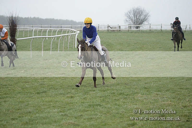 PtP 150320 0078 - New Forest Point-to-Point Larkhill 15/03/20