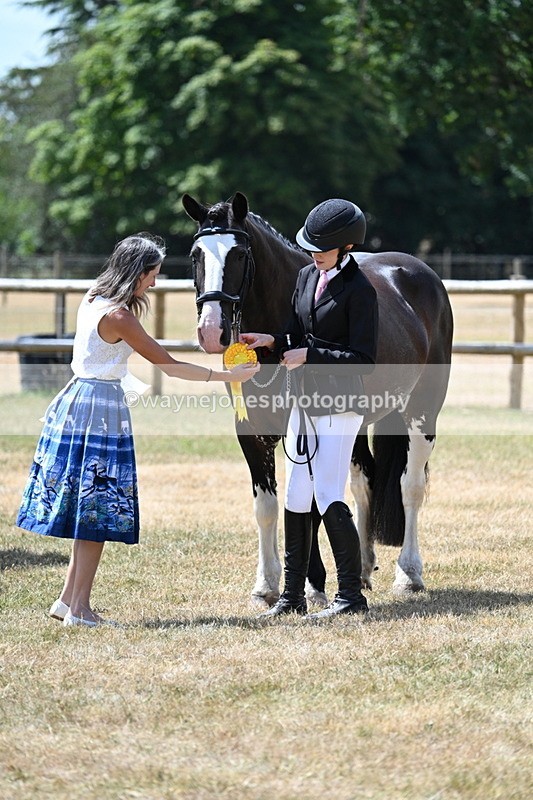 WJ7_2047 - Class 4a Prettiest Mare 14.2hh and over hand