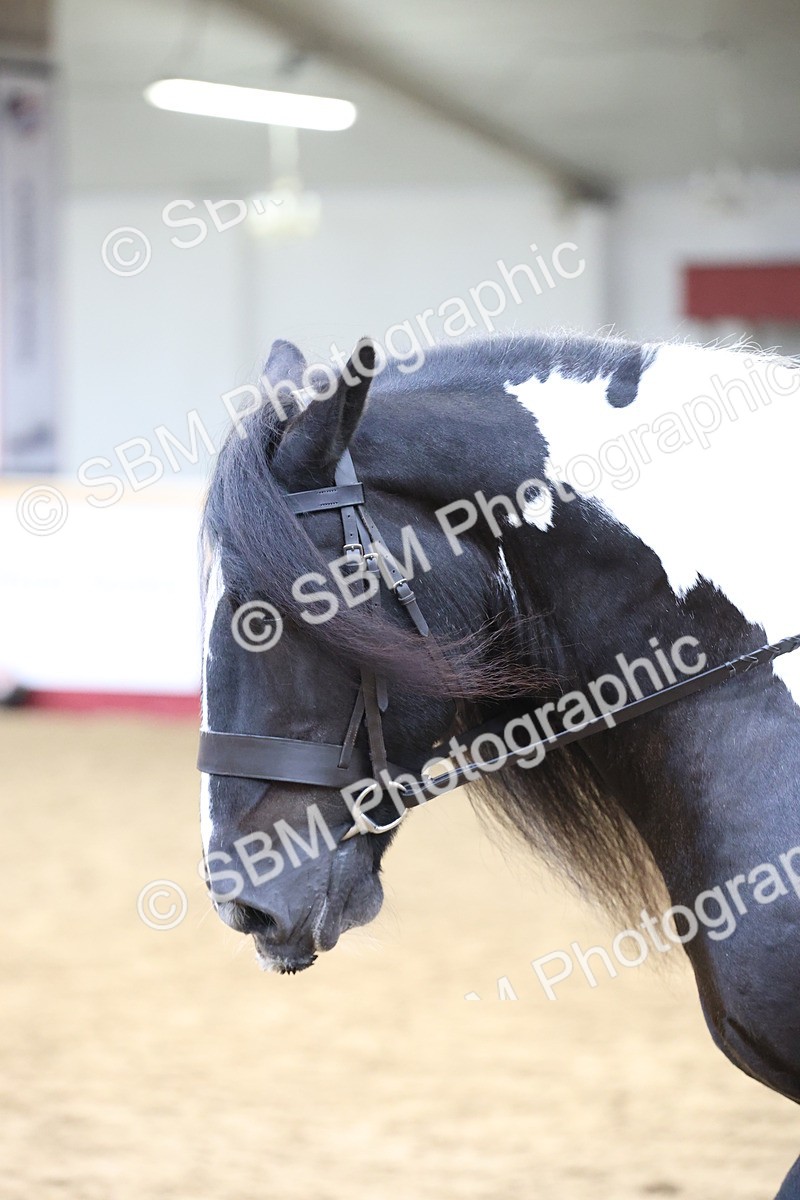 SBM_23677 - class 906 - Supreme Final - Ridden Pre Vet