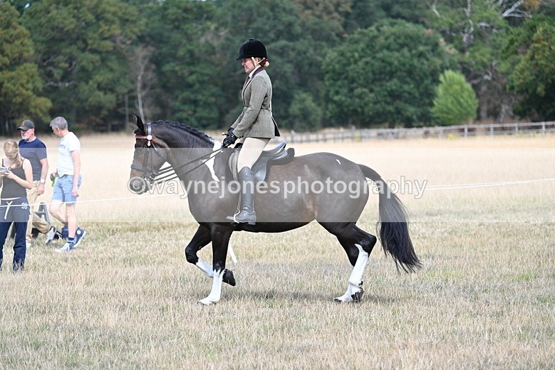 WJ7_5832 - Class 13 Ridden Veterans