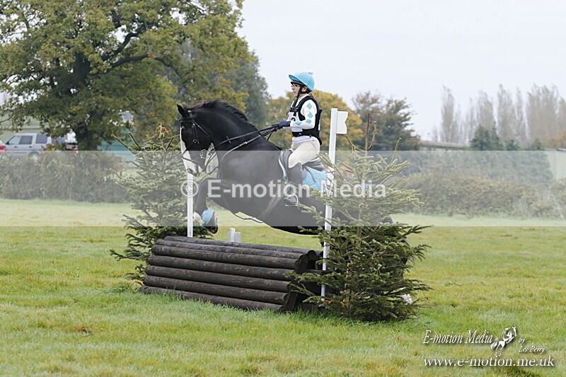 WWHT 181020 WWHT 181020 170 - WWEC Novice Restricted (0.80m) 18/10/20