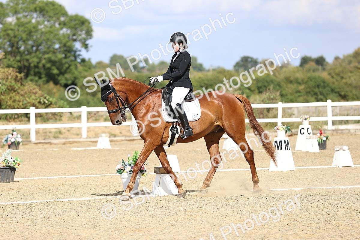 SBM_015247 - Class 5 - E5 Bronze 14.42.15.54