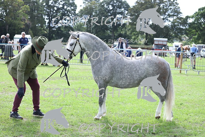 APP_2945 - Class 10a/b M&M in hand