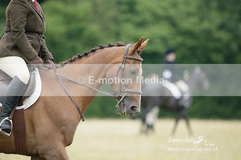 BVRC 030721 287 - Bourne Valley Riding Club Dressage 03/07/21