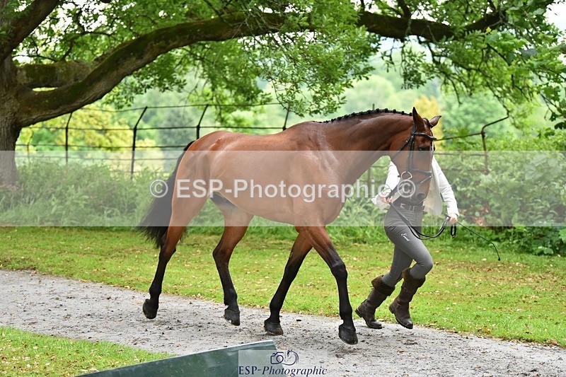 240522-160558-00713 - 153-LEGENDE_P-Ellie_Fredericks