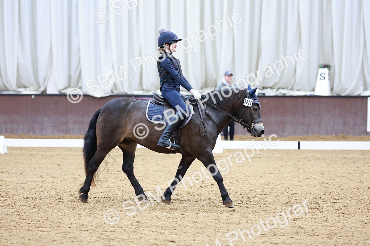 1I0A0695 - Class 3-6 - Prelim 1-Novice 2