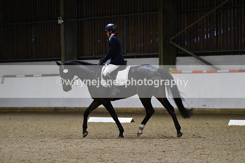 WJ5_8695 - Class 5 Novice Test 3