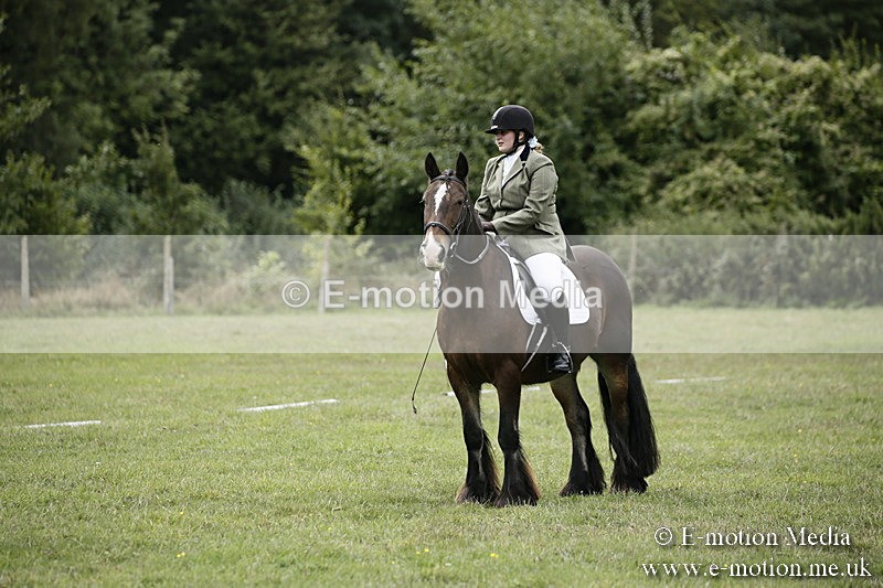 BVR080918 109 - BVRC Novice Dressage & CR 08/09/18