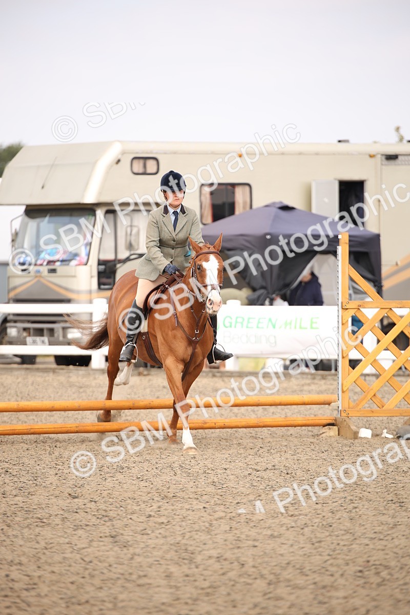 SBM_13580 - Class 406b - Working Veteran 50cm (20+)