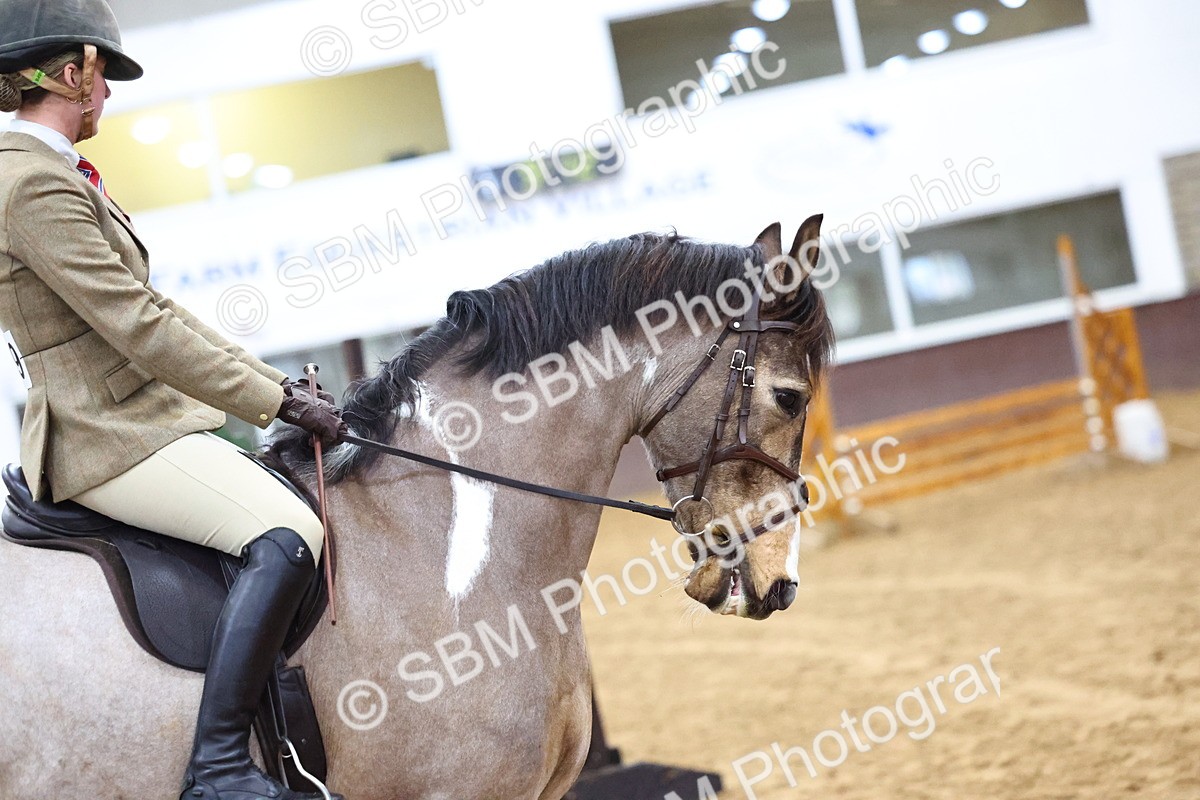 SBM_003479 - Class 37 - 80cm Training Stakes