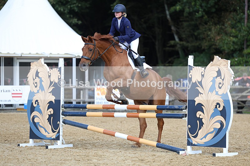 3E7A9076 - Class 9: Senior British Novice/90cm open