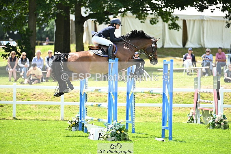 250614A-133046-06871 - Cls 20 Foxhunter