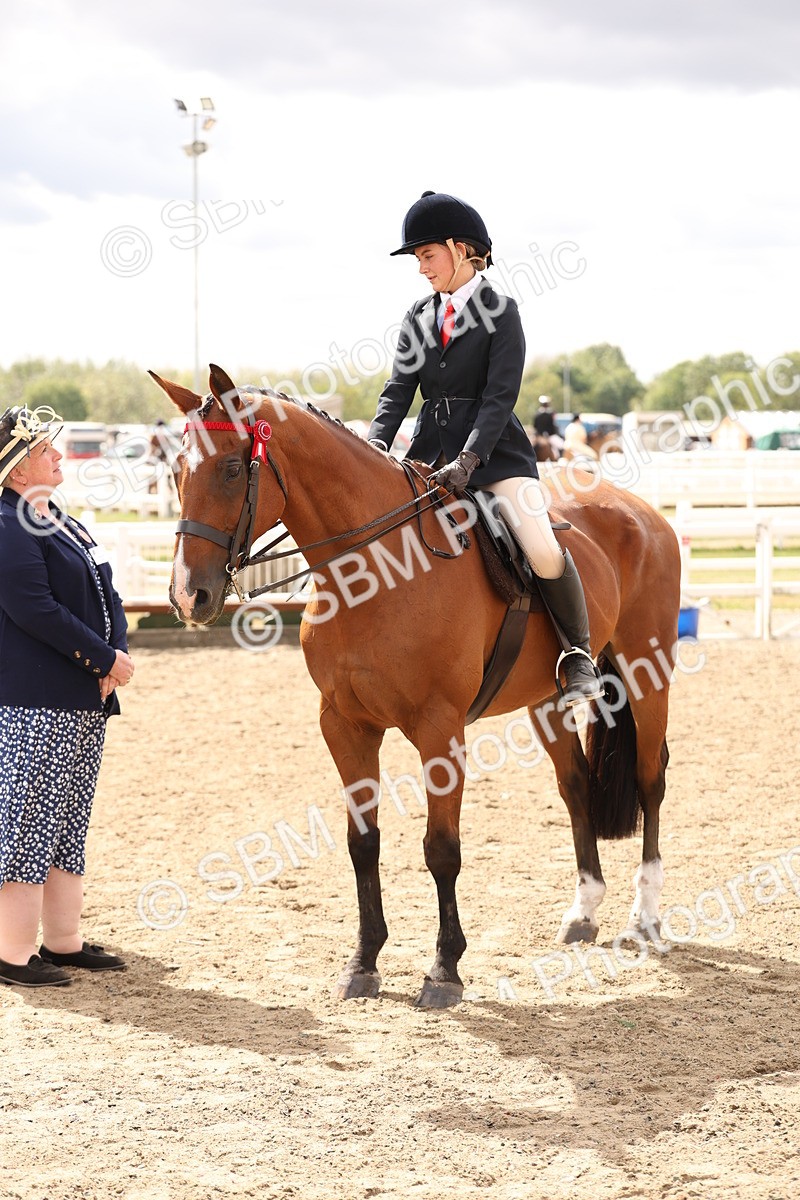 SBM_05226 - Class 56b -  Style & Performance - 50cm (20+)