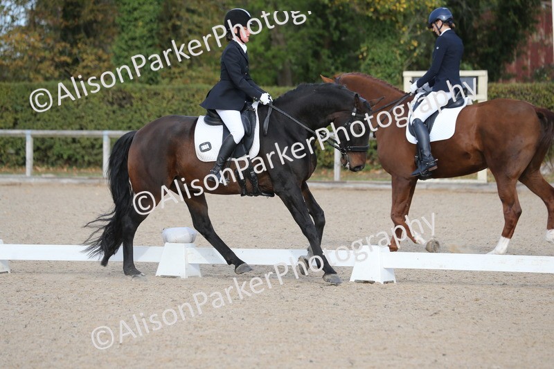 20261011-0225 - Class 4 - Novice 6