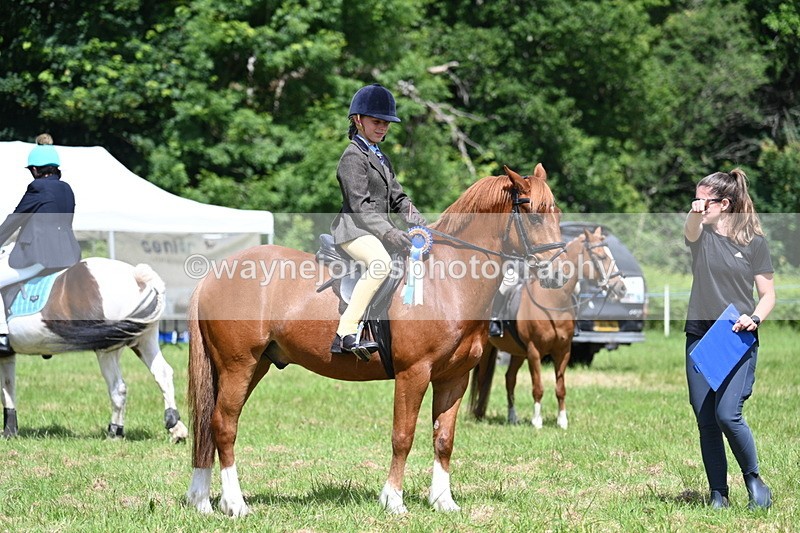 WJ7_1788 - Class 9 Pony Club Pony