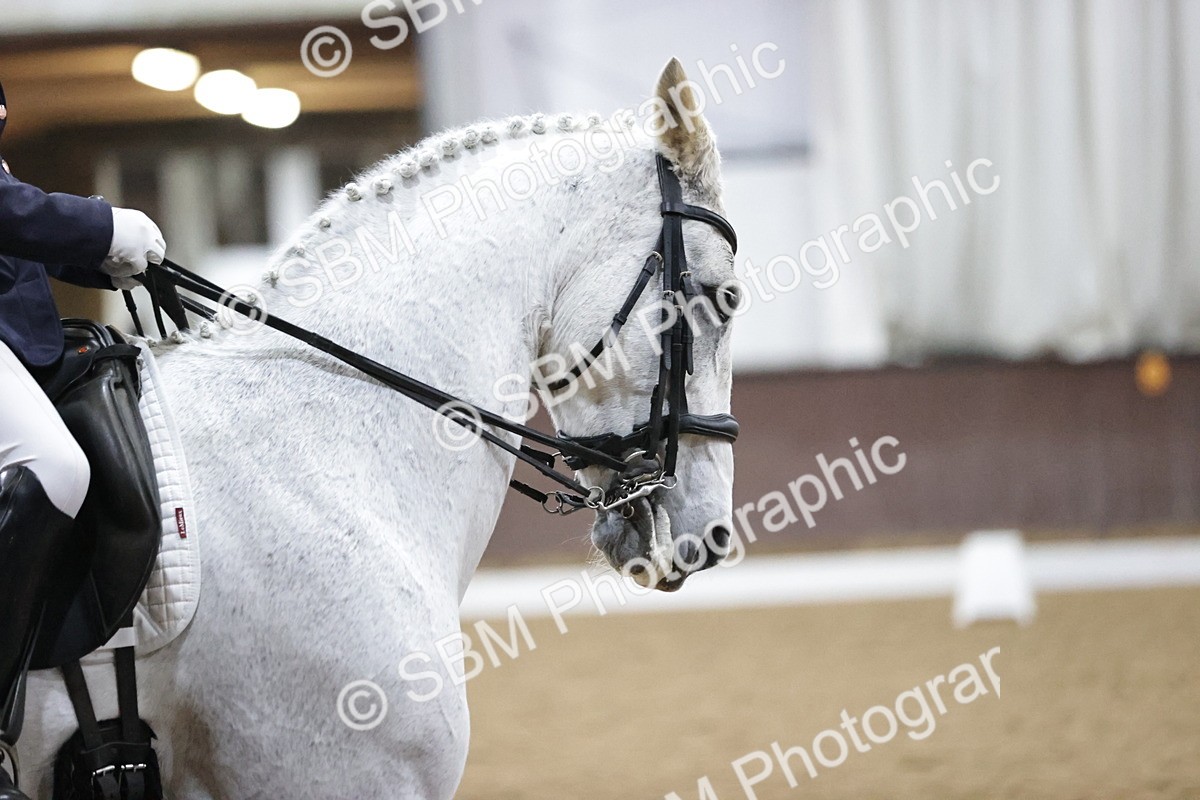 SBM_008918 - Class 16-17-19-21 - ADV 101-FEI PSG-FEI INT I-GP