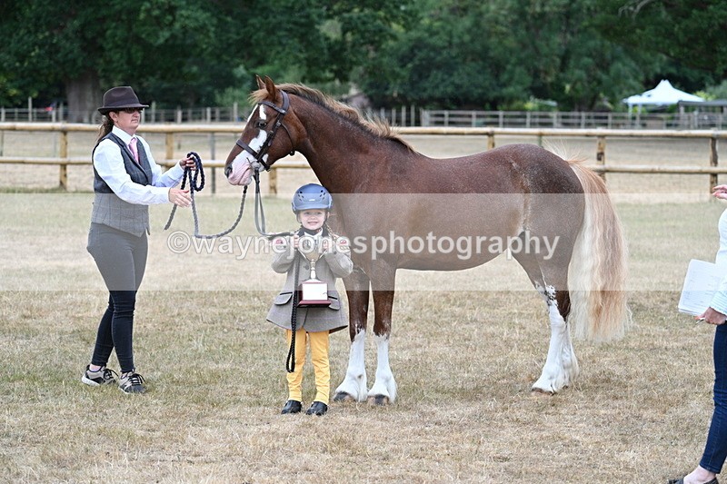 WJ7_9374 - Prettiest Mare Champs