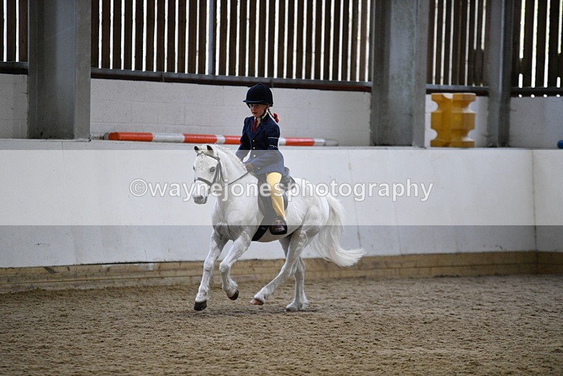 WJ5_7212 - Class 11 Ridden PC - RC Pony