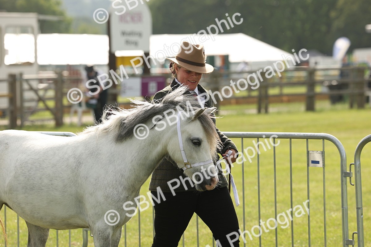 SBM_00476 - Class 6-13 - Mountatin and Moorland In Hand Welsh Breeds