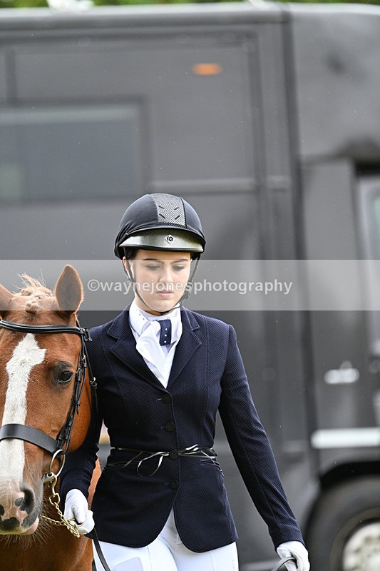 WJ7_6269 - Class 4a Prettiest Mare over 14hh