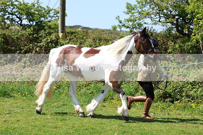 3E7A0288 - Class 19: Best Coloured in Hand