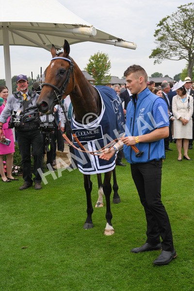 yr20082021r4-137 - Race 4 3.35pm Coolmore Wootton Bassett Nunthorpe Stakes (British Champions Series Race)