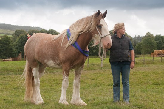 moniaive09-37 - Moniaive Horse Show 2009