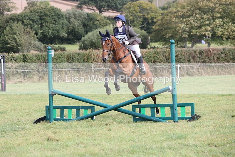 JPP_8530 - Class 2: Trekenning: 80cm Showjumping
