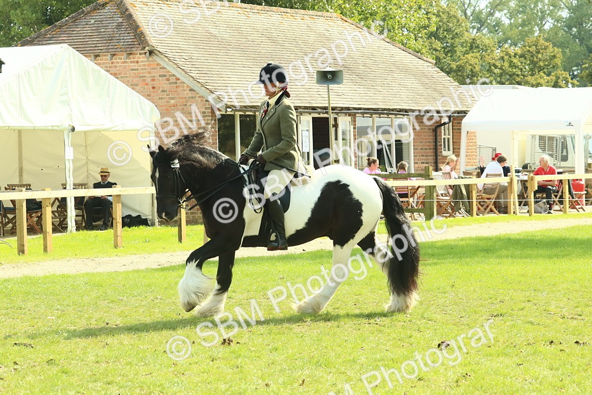 SBM_67574 - S56 - Coloured Pony Ridden