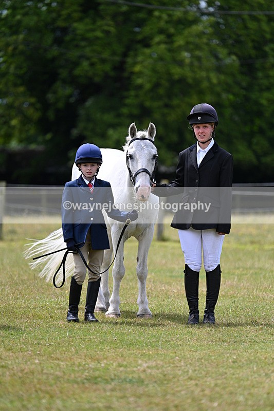 WJ7_6634 - Class 5 Handsome Gelding in hand