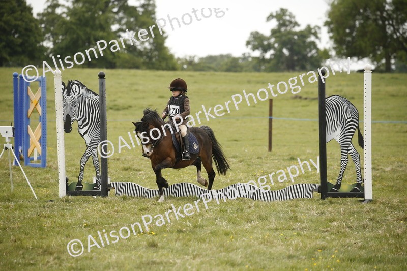 20250517-0733 - Class 2 - 30cm Off Lead Rein