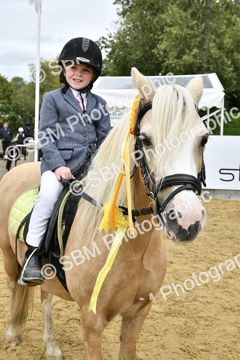 SBM_66252 - J2a mini Tour Junior Pony 30cm Championship