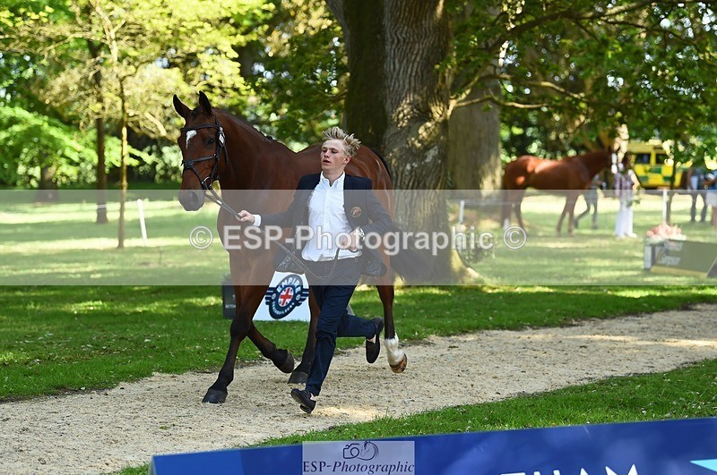 230524-160946-00724 - 264-BALLADEER_JUST_FOR_KICKS-Ellie_Healy-WEDTrotUp+DR