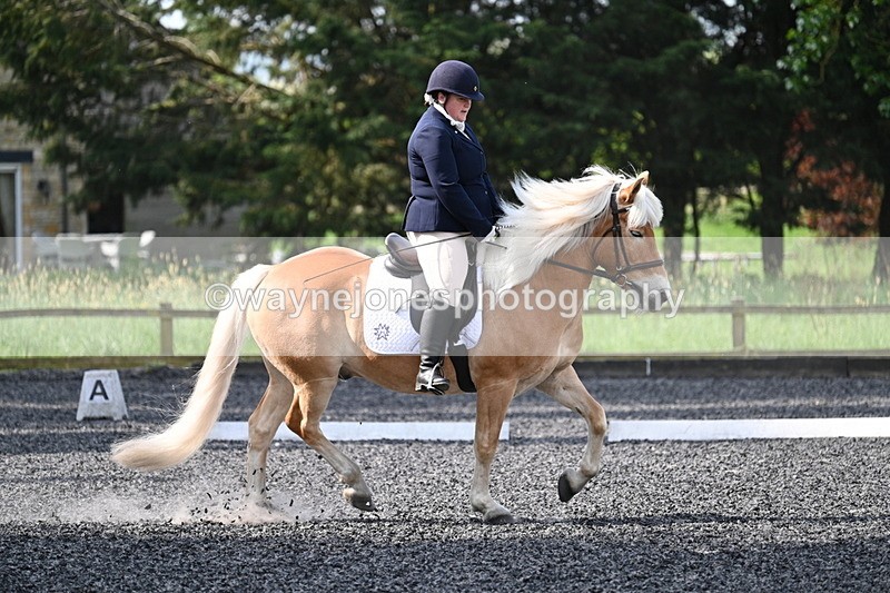 WJ7_8013 - Time 10:11 to 10:27