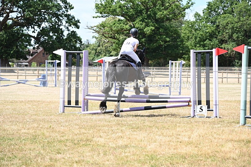 WJ6_5633 - Class 13 Novice 60cm