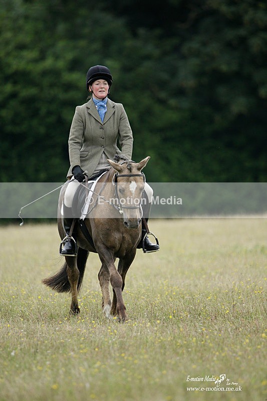 BVRC 030721 356 - Bourne Valley Riding Club Dressage 03/07/21