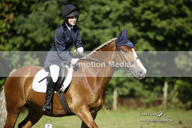 BVRC 120921 214 - Bourne Valley Riding Club UA Dressage & Show Jumping 12/09/21