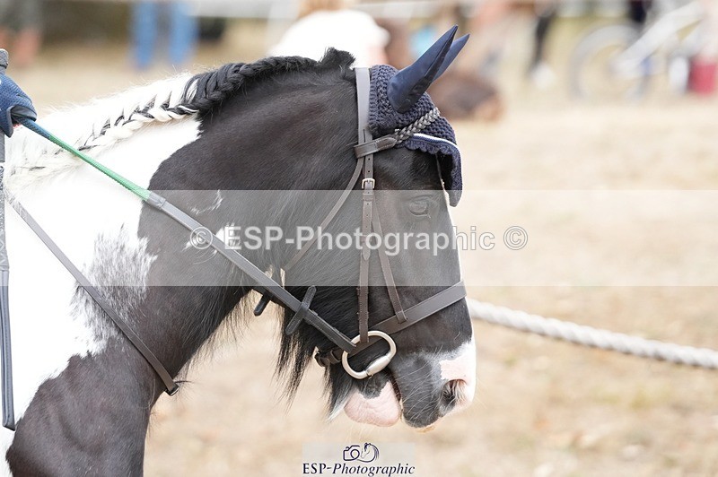 250820A-125427-05902 - Round 2, Start to 13.45 Break