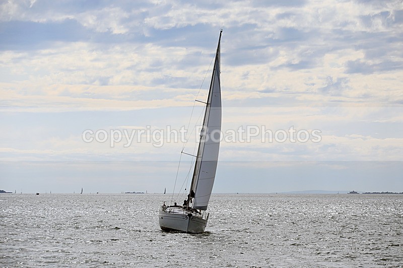 190729 SEA BADGER GBR9483T 1Y3A6693 - 190729 SEA BADGER GBR9483T