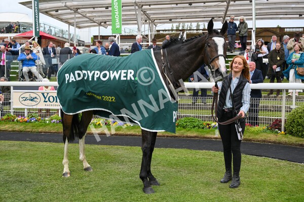 yr13052022r3-49 - Race 3 3.00pm Paddy Power 'I Love Steak' Stakes