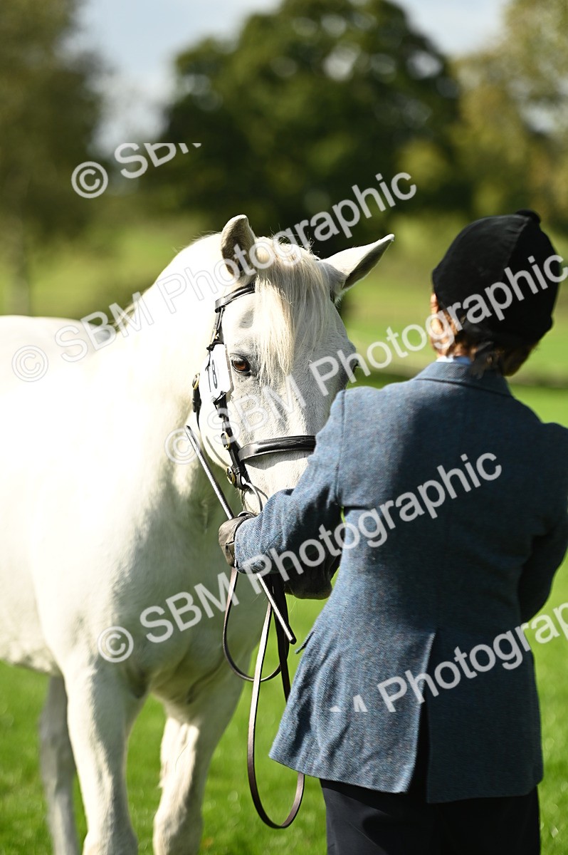 SBM_15905 - S1 - TSR in Hand Horse & Pony Showing