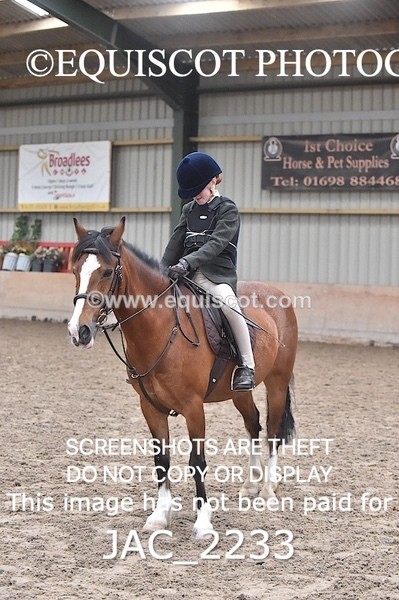JAC_2233 - CLASS 2 Novice Working Hunter