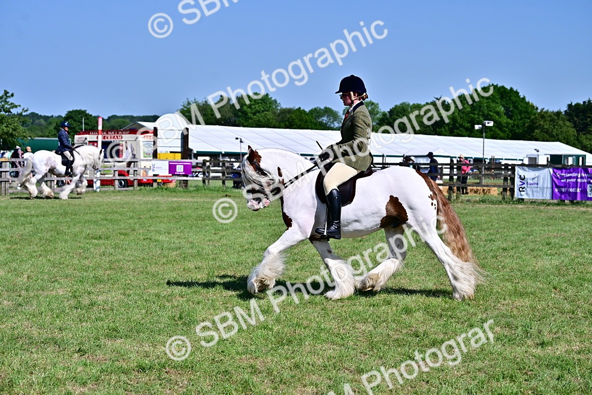 SBM_19368 - Class 101-102 - BSPS LIHS Performance Coloured Horse/Pony